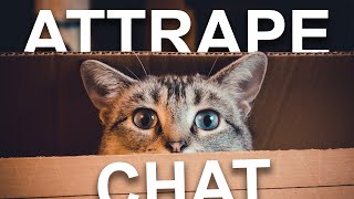 ATTRAPE CHAT [upl. by Anitsirt]