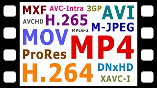 Explaining Digital Video Formats Codecs amp Containers [upl. by Harelda16]