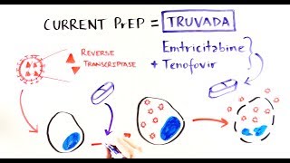 Prophylactic Strips TDV  Tartar Removal [upl. by Enaerb]