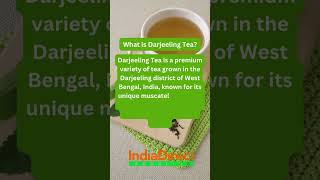 What is Darjeeling Tea [upl. by Anrev616]