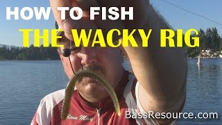 How to Fish a Wacky Rig for Bass  Bass Fishing [upl. by Atsuj902]