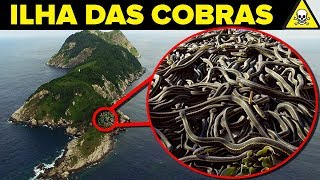 Conheça a PERIGOSA Ilha das COBRAS [upl. by Rezzani]