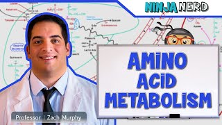 Metabolism  Amino Acid Metabolism [upl. by Robenia730]