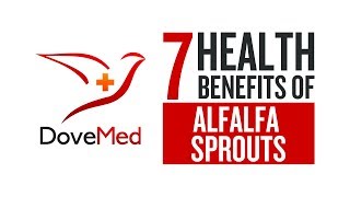 7 Health Benefits Of Alfalfa Sprouts [upl. by Ennael601]