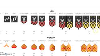 US Military Insignia of Rank [upl. by Yeffej]