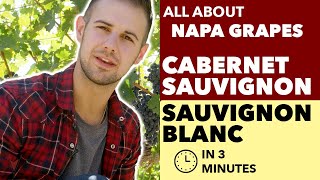 Cabernet Sauvignon amp Sauvignon Blanc  All About The Grapes from Napa amp Beyond [upl. by Glenna]