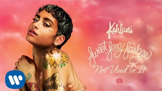 Kehlani – Not Used To It Official Audio [upl. by Arst]