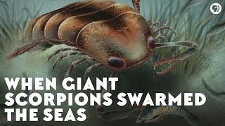 When Giant Scorpions Swarmed the Seas [upl. by Watters939]