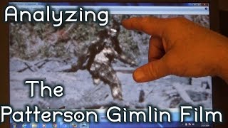 Analyzing the PattersonGimlin amp Freeman Bigfoot with MK Davis [upl. by Nimrahc]