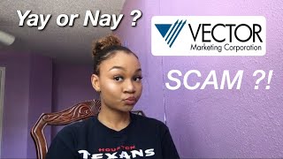 VECTOR MARKETING  CUTCO A SCAM [upl. by Ellord141]