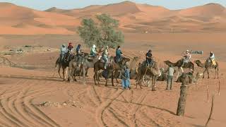 Erg Chebbi  Maroc [upl. by Doherty776]