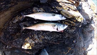 Shore Fishing  Spinning for Mackerel  Tips for Beginners [upl. by Natalie]