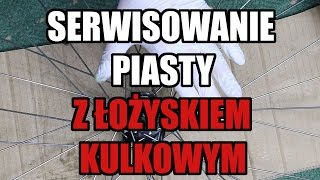 Przegląd piasty na łożyskach kulkowych [upl. by Misty59]