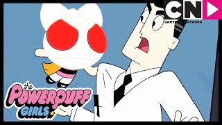 Powerpuff Girls  The Professor Gets ANGRY  Cartoon Network [upl. by Maffa]