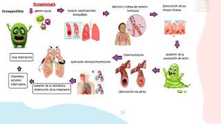 Bronquiolitis parte 1FisiopatologíaPediatría [upl. by Gnoht]