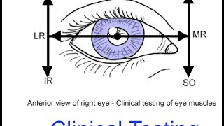 ASMR Eye Exam Lens 1 OR 2 TEST Realistic Medical Roleplay 👓 Glasses Fitting Orbital Light Exam [upl. by Cobby]