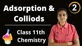 Adsorption and Colloids Class 11th Chemistry Part 2 [upl. by Dorella]