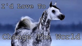 Id Love To Change The World  Arabian Horse Music Video [upl. by Elockin]