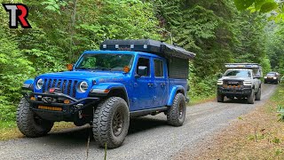 Deep in the Rain Forest of Washingtons Olympic Peninsula [upl. by Ecnerewal]