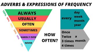 Mini lesson Adverbs and expressions of frequency Class 9 [upl. by Holzman]