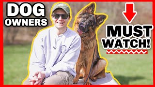 THE BIGGEST OVERLOOKED DOG TRAINING COMMAND [upl. by Yerak]