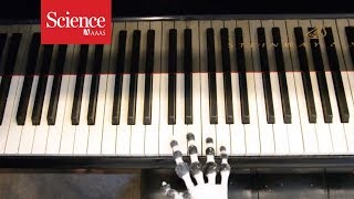 Listen to this pianoplaying robot hit all the right notes [upl. by Nimsaj]