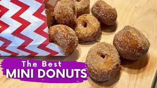 Homemade Mini Donuts Recipe just like the ones at the FAIR [upl. by Johen574]