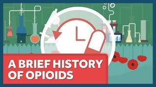 The History of Opioids [upl. by Etka]