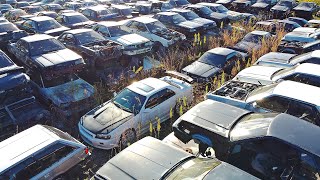 JAPAN’S NISSAN SKYLINE GRAVEYARD [upl. by Notluf252]