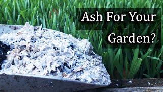 Ash For Your Garden  4 Ways To Apply It Properly [upl. by Eaton521]