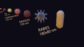 Virus Size Comparison  3D [upl. by Ytissahc]