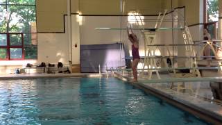 Teach a Flip for Springboard Diving [upl. by Ainat152]