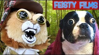 Hilarious Feisty Films Nature Compilation Vol 3 [upl. by Ahsikad]