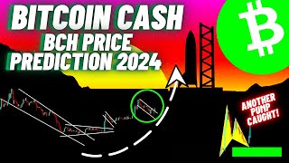 Bitcoin Cash BCH Crypto Coin Update [upl. by Ellennaj941]