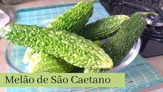 Suco de melão são Caetanofácil e rápido [upl. by Dar]