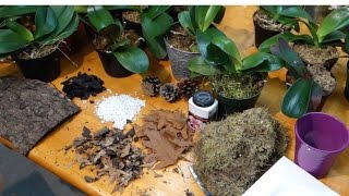 How to prepare the best potting media for Phalaenopsis orchids [upl. by Melda]