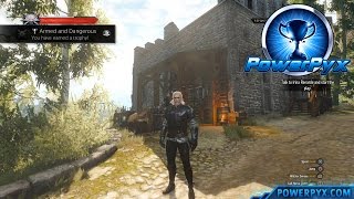 The Witcher 3 Wild Hunt  Griffin Witcher Gear Set Locations Armed and Dangerous Trophy [upl. by Blackmun887]