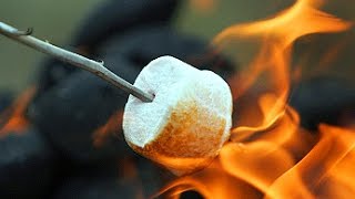 How to roast the perfect marshmallow [upl. by Kapor]