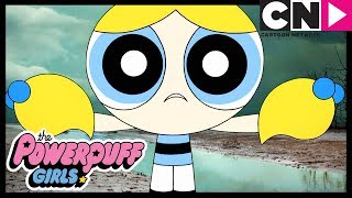 Powerpuff Girls  The Fashionistas Perfume  Cartoon Network [upl. by Anceline324]