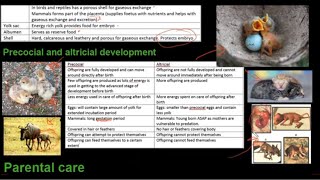 Grade 12 Life Sciences Reproduction in vertebrates [upl. by Charmain]