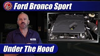 20212022 Ford Bronco Sport 15T Engine Explained [upl. by Inittirb]