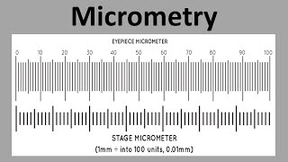 Micrometry  Measurement Of Microorganisms [upl. by Iggem463]