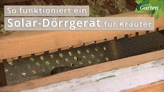 Kräuter trocknen SolarDörrgerät selber bauen  MDR Garten [upl. by Wenonah]