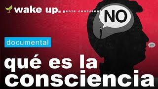 Explicación científica de la Consciencia [upl. by Yentruocal]