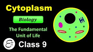 Cytoplasm  The Fundamental Unit of Life  8  for Class 9 in Hindi [upl. by Jeffery900]