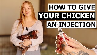 How to Give a Chicken an Injection  Intramuscular amp Subcutaneous [upl. by Reneta561]