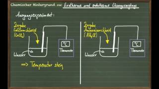 Exotherme amp endotherme Lösungsvorgänge [upl. by Ahseid347]