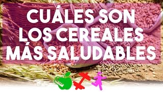 Cuáles son los cereales más saludable DGS Brenda [upl. by Fredella]