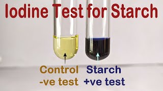 Iodine Test For Starch Practical Experiment [upl. by Akaenahs148]