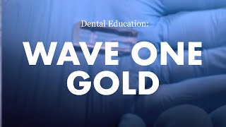 Endodontics Wave One Gold Demonstration [upl. by Caspar161]